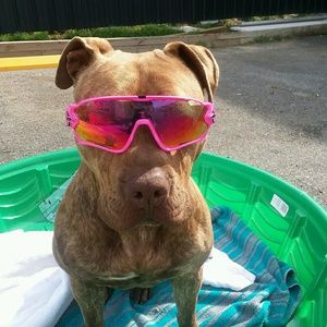 Meet your Posher, Mikayla